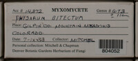 Image Associated With the Occurence